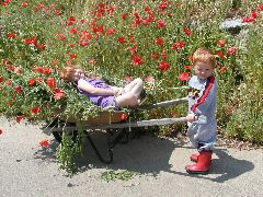 Poppy Gardeners
